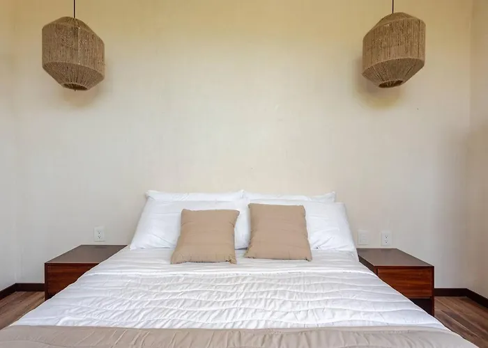 Rev Apartment